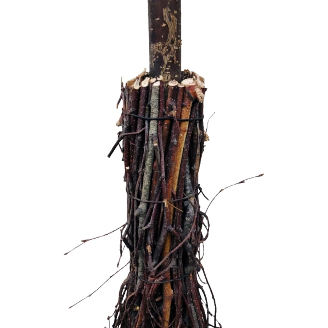 Traditional Besom Broom, Entirely Handmade from Birch Twigs with Hazel Wood Handle - Great for Garden, Patio, Yard Sweeping