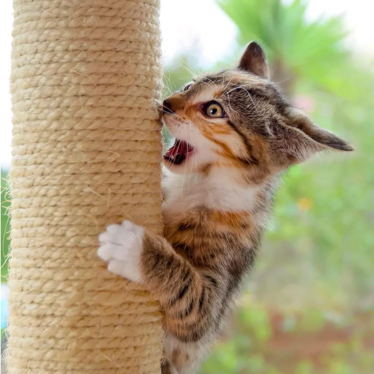 Sisal Rope for Cat Scratcher Cat Tree Repairing - 10 m / 32 ft of 8 mm Natural Sisal Rope for Scratching Post Tower Replacement