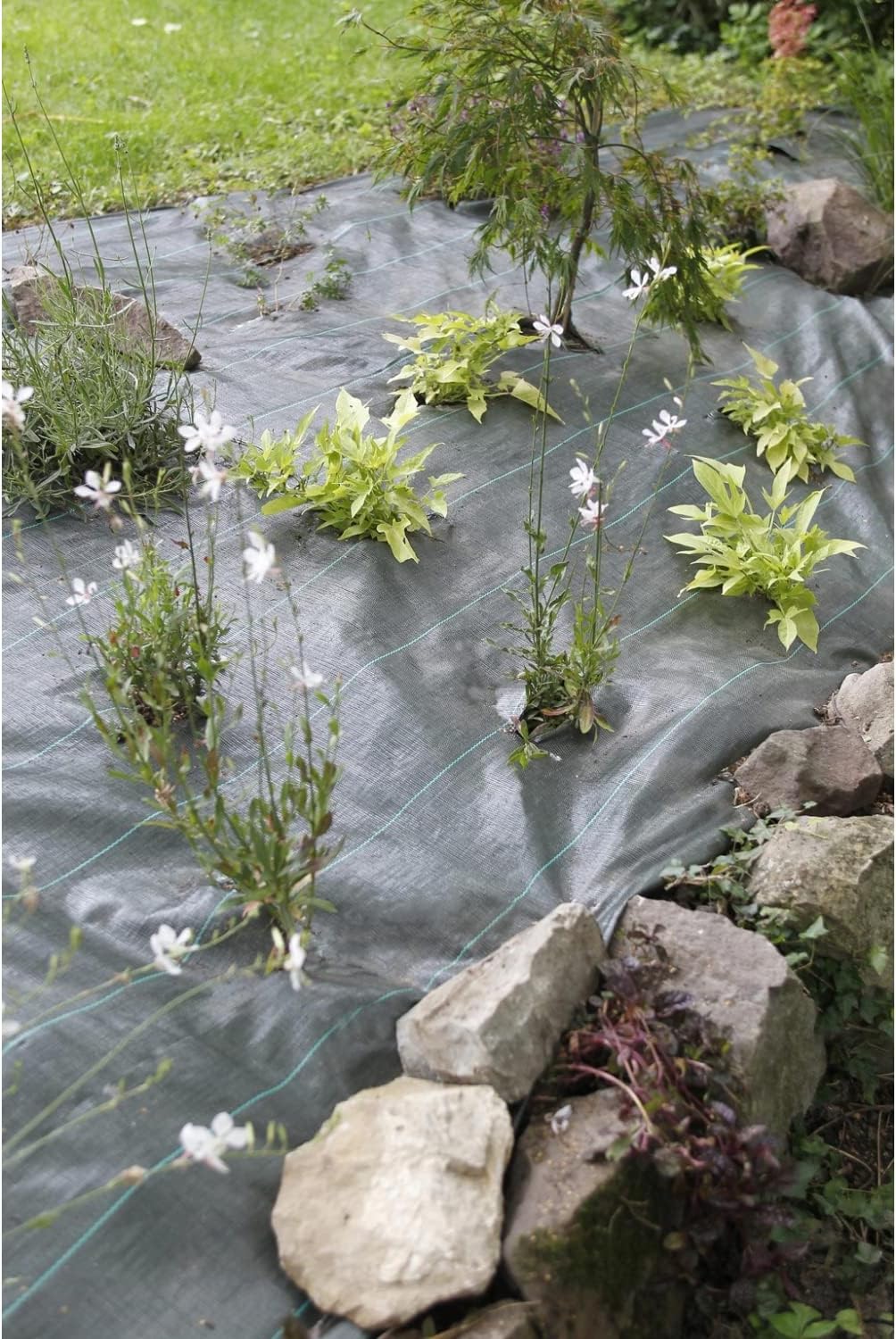 1 x 25 m / 3.2 x 82.0 ft Weed Control Membrane, Weed Control Woven Fabric, Ground Cover Sheet, 100 GSM, UV Stabilised