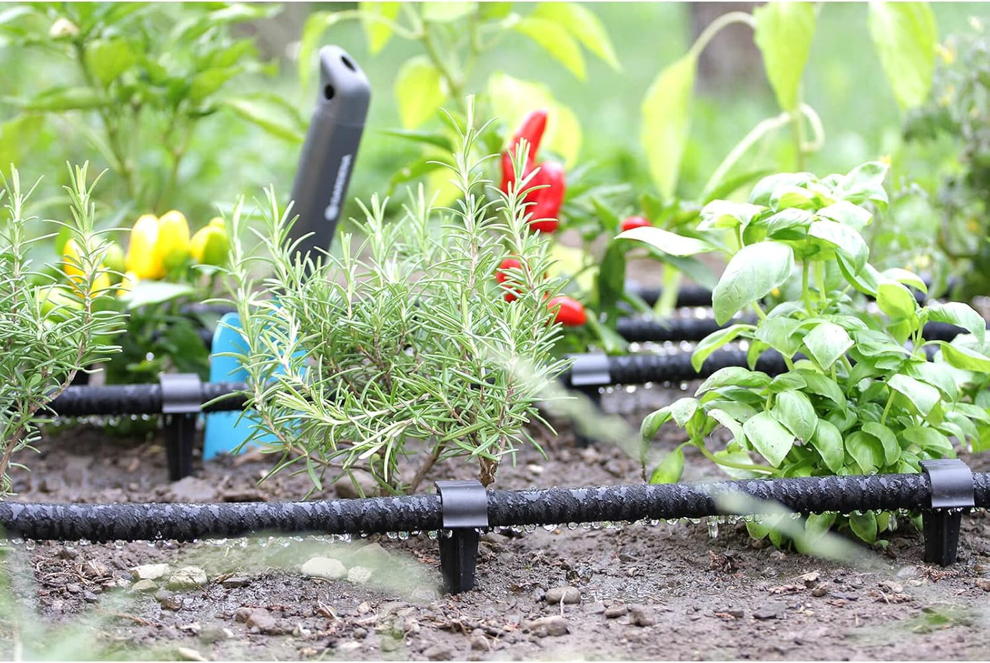 Garden Pegs, 100 Pieces Pack of 160mm / 6.3" Ground Pegs for Irrigation System, Ground Anchors for Drip Watering Line, Anchor Pegs