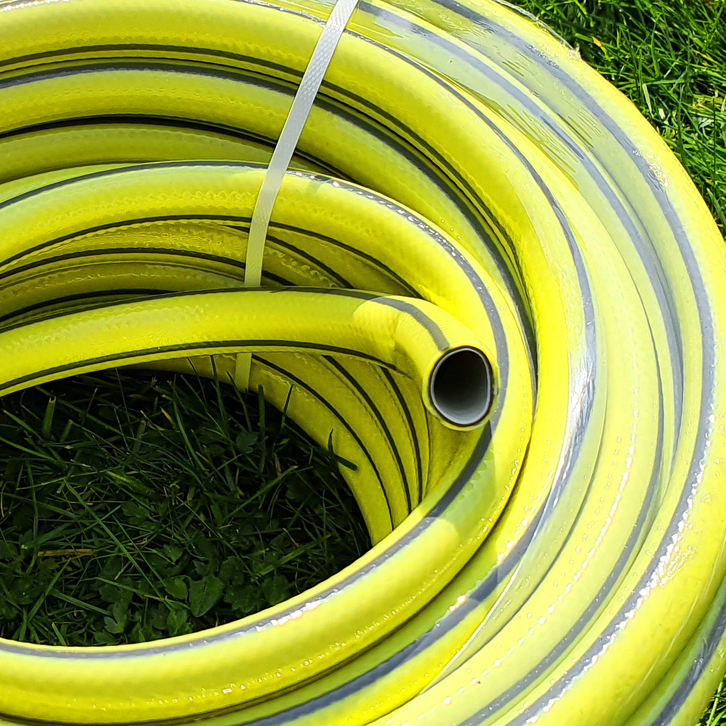 Garden Hose Pipe, 15 m / 49 ft Long, Reinforced 4 Layer Non-Toxic 1/2" Watering Irrigation Hosepipe, Phthalate Free (Yellow)