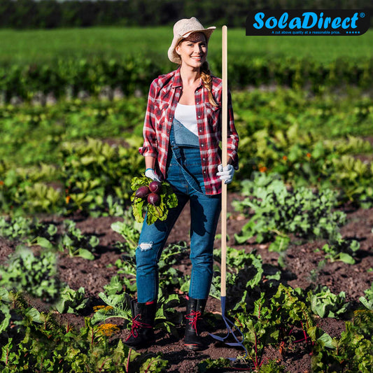 Cultivator, 3 Prong Hand Soil Scarifier Cultivator with Handle, Digging Hoe, Gardening and Farming Tool