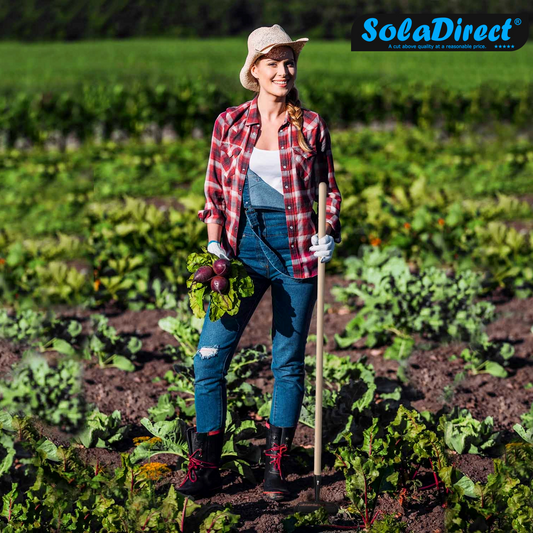 Hoe Swan Neck Cultivator Heavy-Duty Solid Steel Soil Digging Dutch Gardening and Landscaping Tool (18 cm, with 115 cm Long Handle)