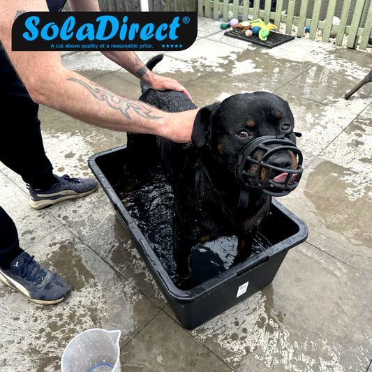 Dog Cat Pet Washing Bathtub with Drain Valve - Multipurpose Large 80 Litres Portable Bath Tub - Easy to Clean with Handles