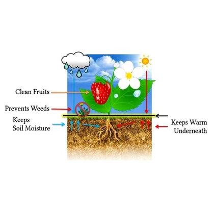 1 x 10 m / 3.2 x 32.8 ft Weed Control Membrane, Weed Control Woven Fabric, Ground Cover Sheet, 100 GSM, UV Stabilised + 20 Pegs