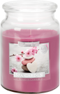 18oz Large Scented Candle In Glass Jar Fragrance Aromatic 100 Hr Burn Time (Spa Garden)