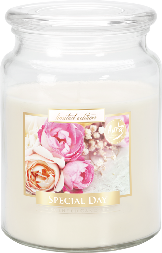 18oz Large Scented Candle In Glass Jar Fragrance Aromatic 100 Hr Burn Time (Special Day)