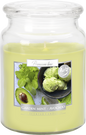 18oz Large Scented Candle In Glass Jar Fragrance Aromatic 100 Hr Burn Time (Garden Mint Avocado)