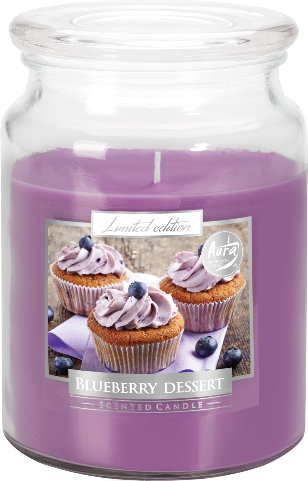 18oz Large Scented Candle In Glass Jar Fragrance Aromatic 100 Hr Burn Time (Blueberry Dessert)
