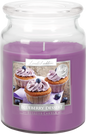 18oz Large Scented Candle In Glass Jar Fragrance Aromatic 100 Hr Burn Time (Blueberry Dessert)