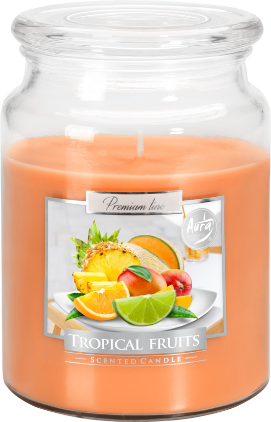 18oz Large Scented Candle In Glass Jar Fragrance Aromatic 100 Hr Burn Time (Tropical Fruits)