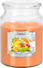 18oz Large Scented Candle In Glass Jar Fragrance Aromatic 100 Hr Burn Time (Tropical Fruits)
