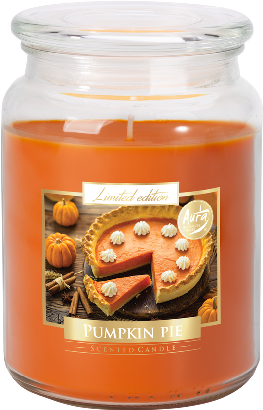 18oz Large Scented Candle In Glass Jar Fragrance Aromatic 100 Hr Burn Time (Pumpkin Cake)