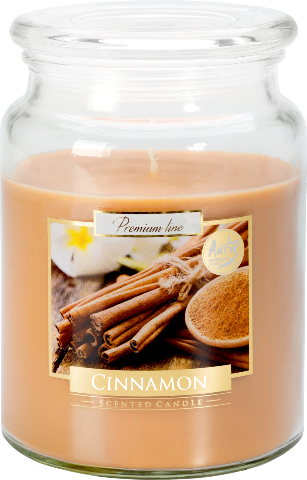 18oz Large Scented Candle In Glass Jar Fragrance Aromatic 100 Hr Burn Time (Cinnamon)