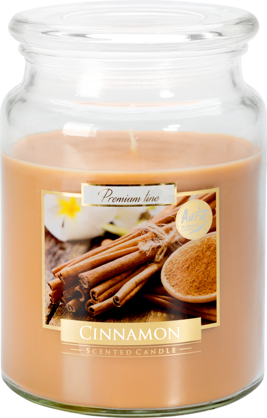 18oz Large Scented Candle In Glass Jar Fragrance Aromatic 100 Hr Burn Time (Cinnamon)