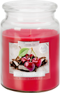 18oz Large Scented Candle In Glass Jar Fragrance Aromatic 100 Hr Burn Time (Chocolate Cherry)