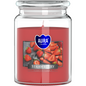 18oz Large Scented Candle In Glass Jar Fragrance Aromatic 100 Hr Burn Time (Strawberry)