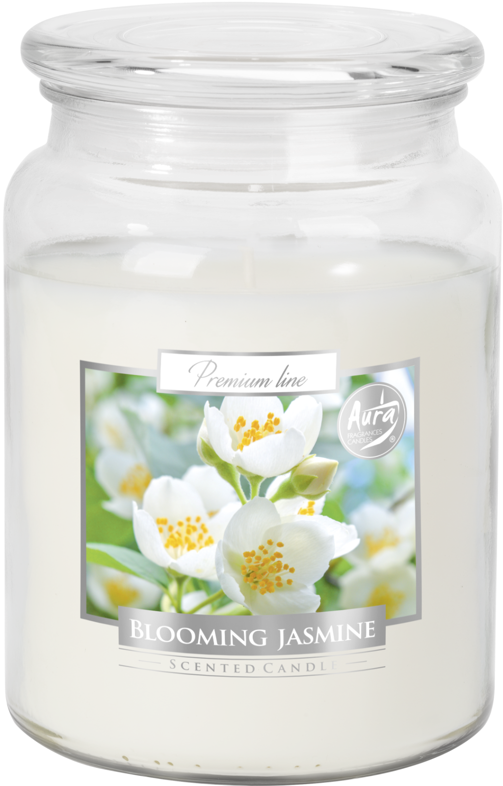 18oz Large Scented Candle In Glass Jar Fragrance Aromatic 100 Hr Burn Time (Blooming Jasmine)