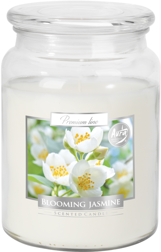 18oz Large Scented Candle In Glass Jar Fragrance Aromatic 100 Hr Burn Time (Blooming Jasmine)