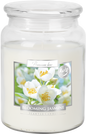 18oz Large Scented Candle In Glass Jar Fragrance Aromatic 100 Hr Burn Time (Blooming Jasmine)