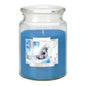 18oz Large Scented Candle In Glass Jar Fragrance Aromatic 100 Hr Burn Time (Anti Tobacco)