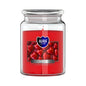 18oz Large Scented Candle In Glass Jar Fragrance Aromatic 100 Hr Burn Time (Love)