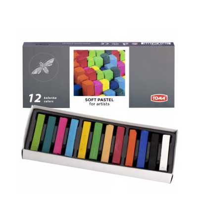 Soft Dry Pastels for Artists Pack of 12 Vibrant Colours Chalk Square Pastels Art