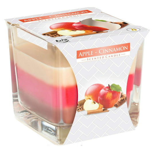 Apple Cinnamon Scented Candle In Glass Jar 2 Wicks Assorted Fragrance Home Decor Xmas Gift
