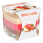 Apple Cinnamon Scented Candle In Glass Jar 2 Wicks Assorted Fragrance Home Decor Xmas Gift