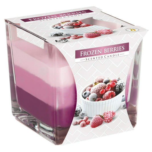 Frozen Berries Scented Candle In Glass Jar 2 Wicks Assorted Fragrance Home Decor Xmas Gift