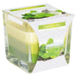Green Tea Scented Candle In Glass Jar 2 Wicks Assorted Fragrance Home Decor Xmas Gift