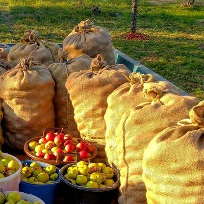 10 x Natural Hessian Large Jute Sacks (50 x 80 cm / 25 Kg) Hessian Bags Made of Strong Tearproof Jute Fabric, Burlap Sacks