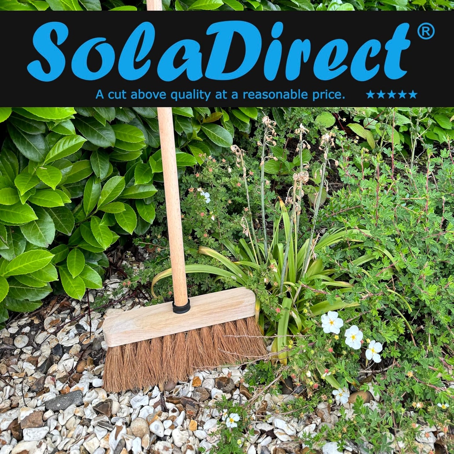 10-Inch Natural Soft Coco Sweeping Broom with Wooden Handle - Eco-Friendly Soft Bristle Sweeping Brush