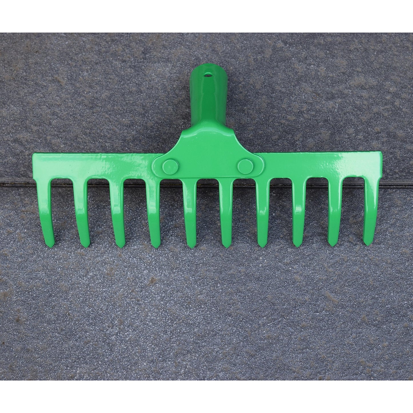 Steel Garden Rake for Hay, Leaves, Lawn, 25 cm / 10 in with 10 Tins, Ideal Gardening Tool (No Handle)