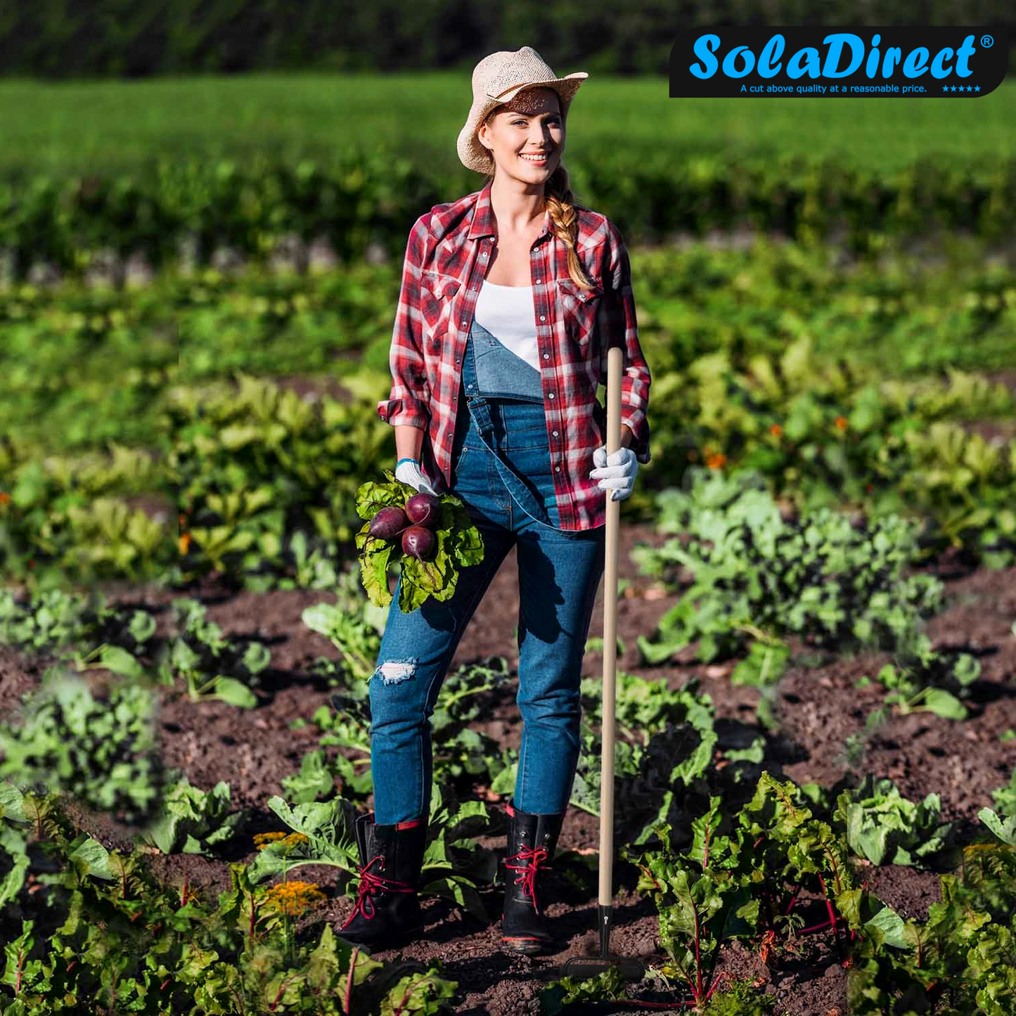Hoe Swan Neck Cultivator Heavy-Duty Solid Steel Soil Digging Dutch Gardening and Landscaping Tool (16 cm, Head only)